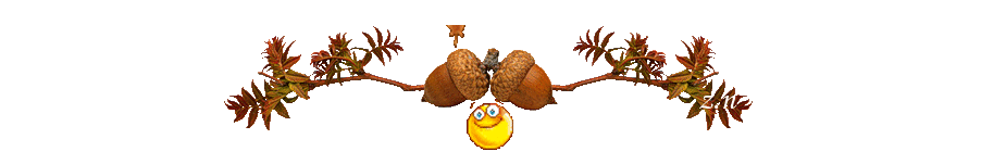 bQ2pO.gif