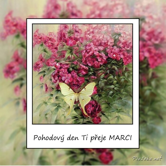 759 10 cs d2edeedbaa25e174dbc846ae526e6c77
