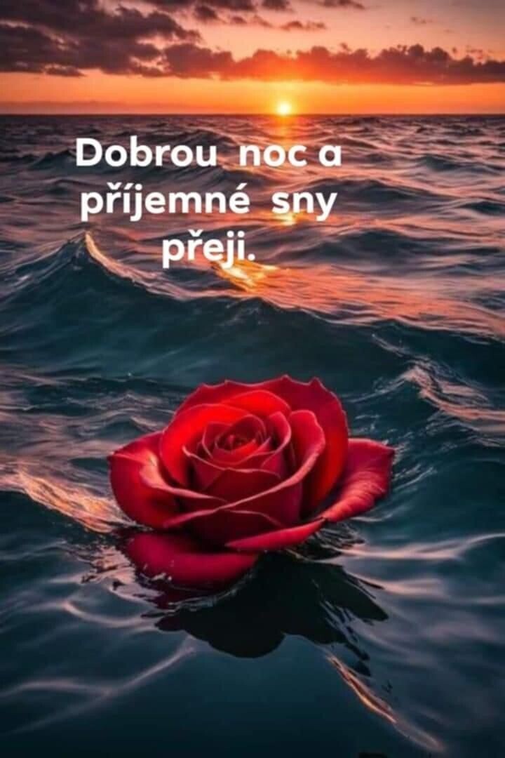 e3cbf17666168a49abfa2ce97b943039
