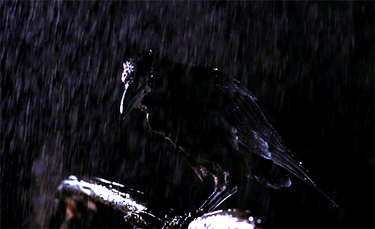 https://s15.gifyu.com/images/bQAl1.gif