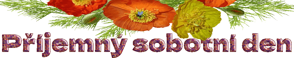 Nový projekt