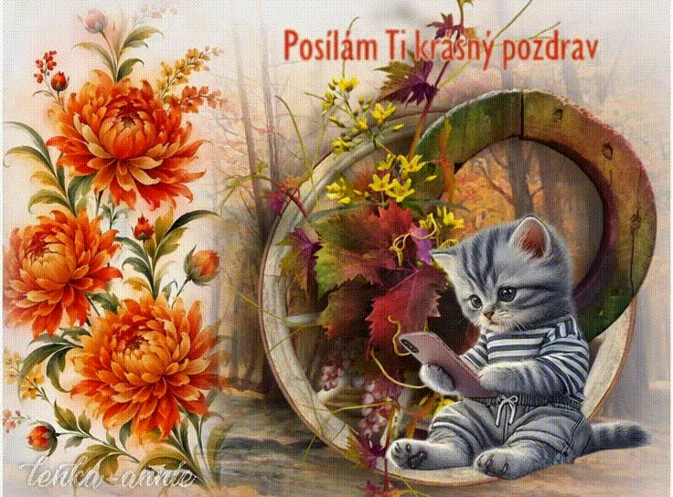 Kotě pozdrav