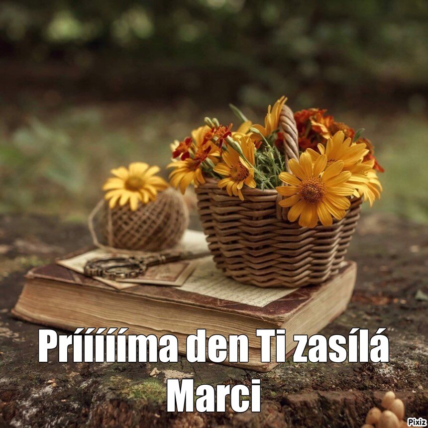 25733c55cfa7905579a16b0ee0933fa5