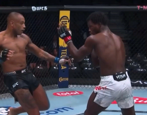 bQN4y.gif