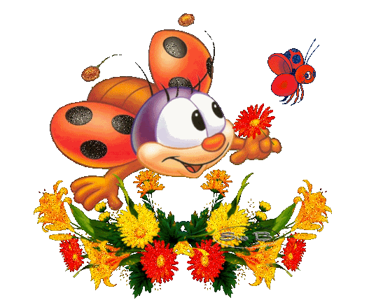 ladybug 38