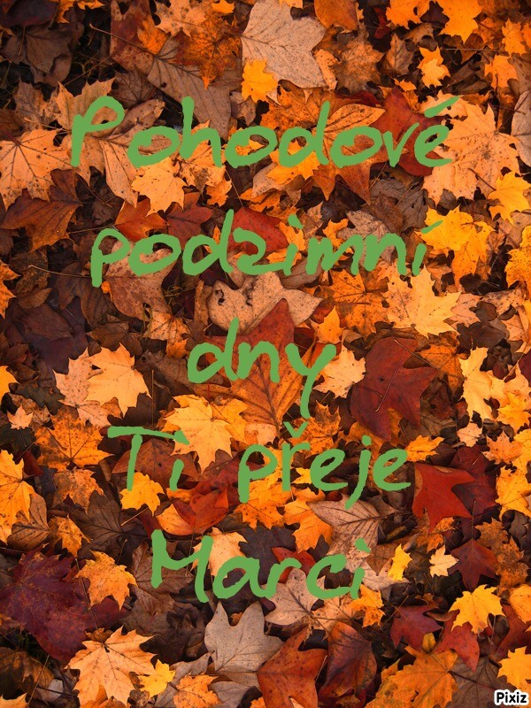 2a389fbc0646cb7348a7107b8bdd1090
