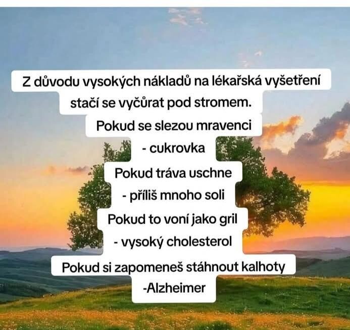 stažený soubor