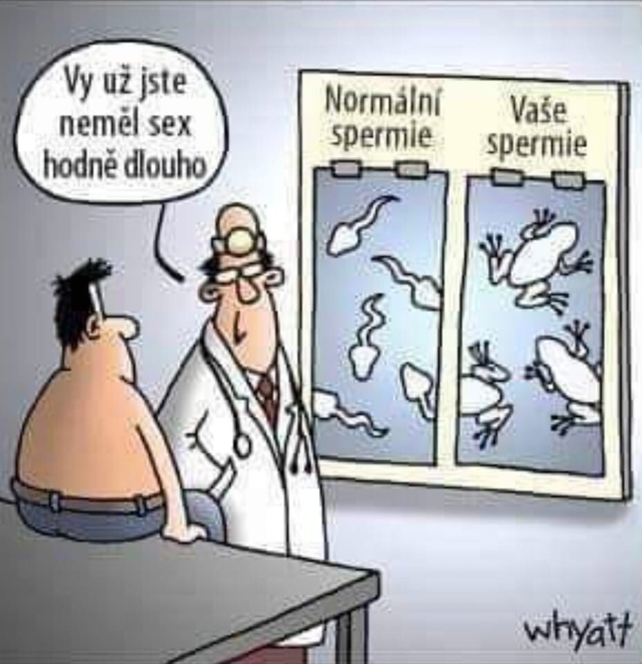 spermie