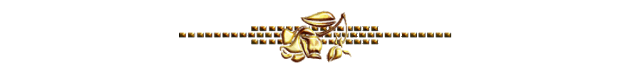 bW33H.gif