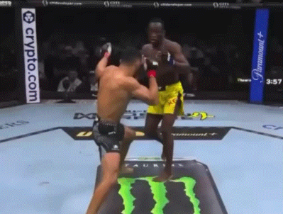 bW77Q.gif