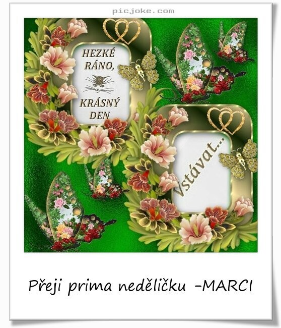442 2 cs 6e6ae088915a8667a9de6bb1ced2f097