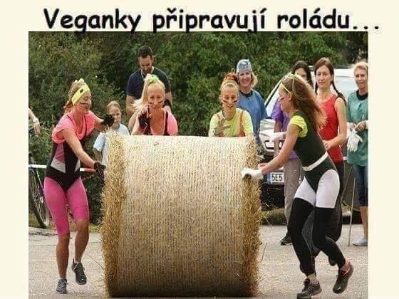 stažený soubor (71)