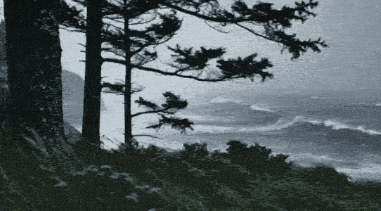 https://s15.gifyu.com/images/bWMkU.gif
