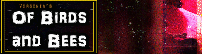 DiscipleOfVirginia - Of Birds and Bees v1.3 (Win)