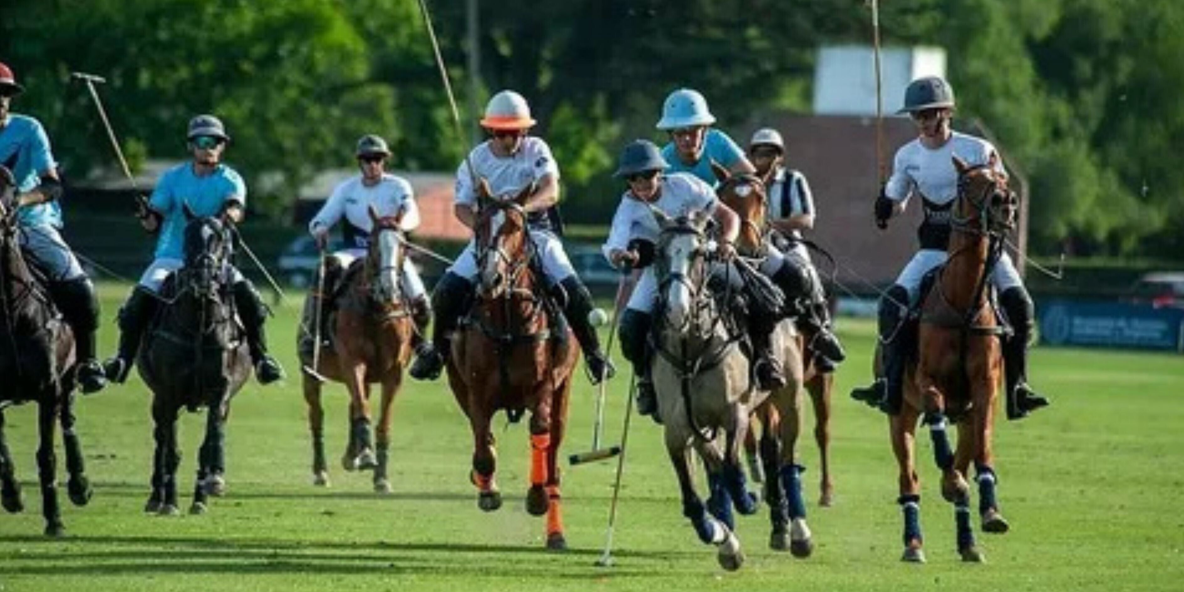 Arena polo lessons in Ocala
