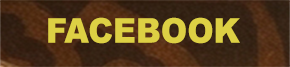 bWvoI.png