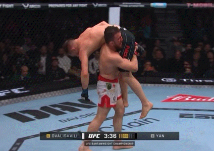 bWwN9.gif
