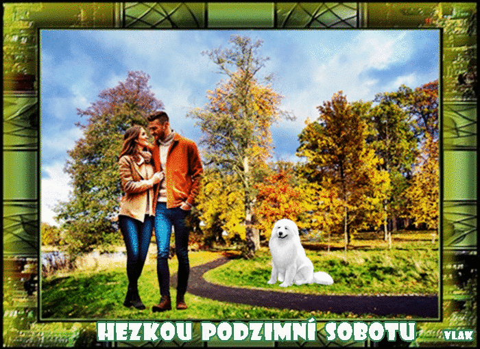 24.10