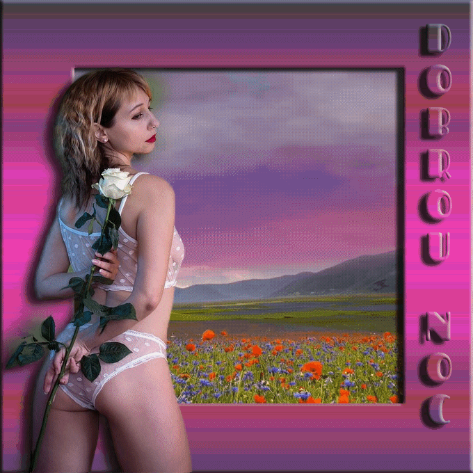 DOBROU NOCD